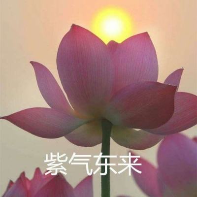 奇幻公爵官方手机版(暂未上线)v1.7.2 安卓最新版