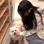 时光旅行社官方下载安装